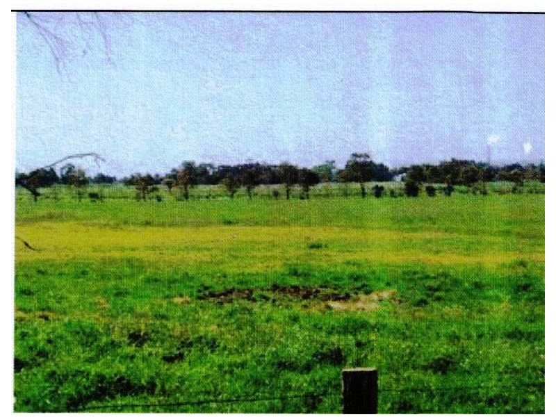 91 Johnston Road, Yarloop WA 6218