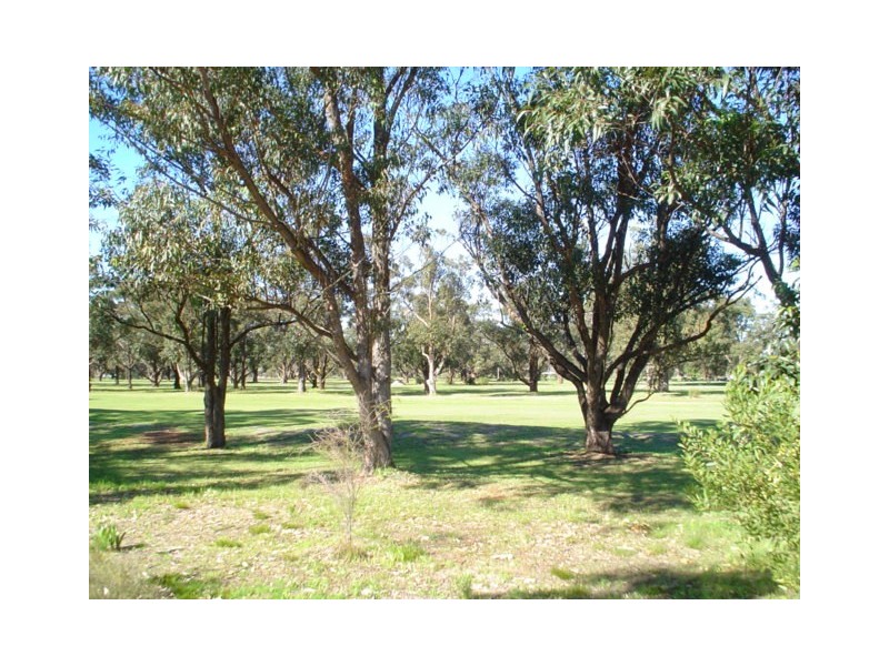 43 sunset Circle, Pinjarra WA 6208