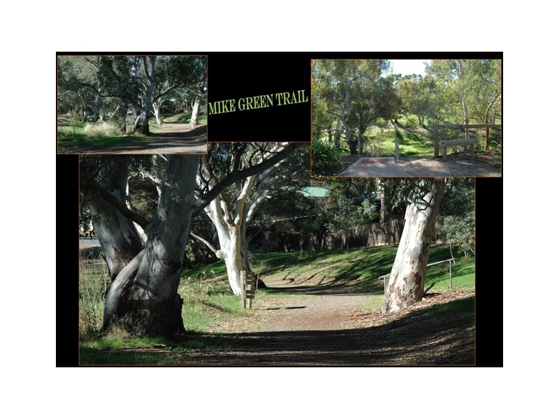 18 Orange Avenue, Golden Grove SA 5125