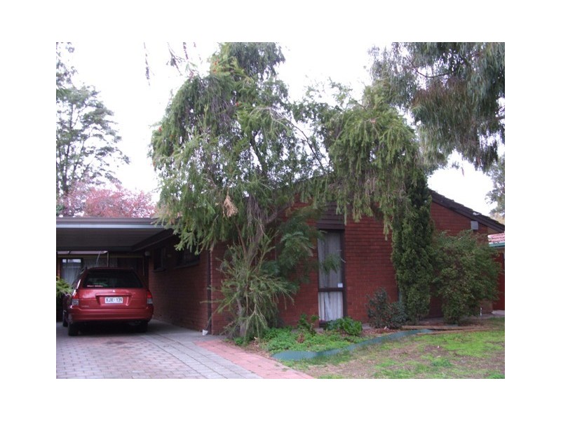 95 Hancock Road, Tea Tree Gully SA 5091
