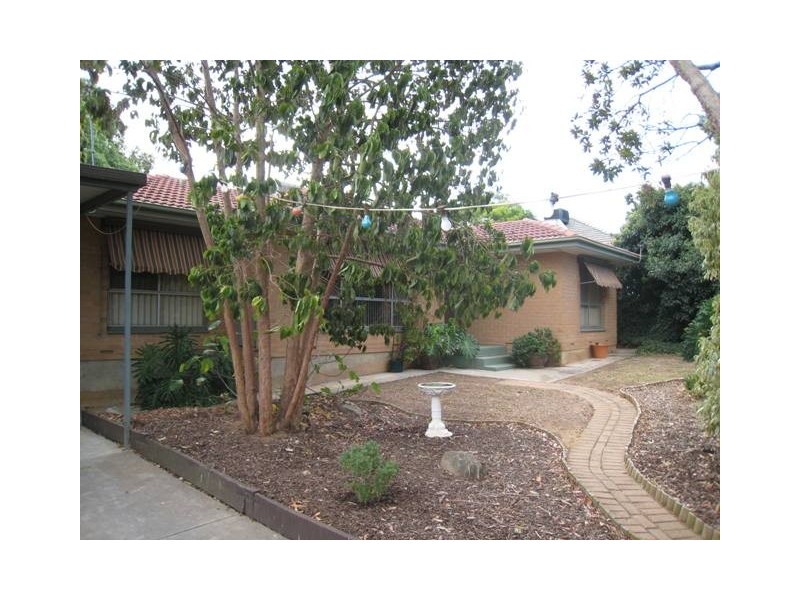 13 Tanya Street, Surrey Downs SA 5126