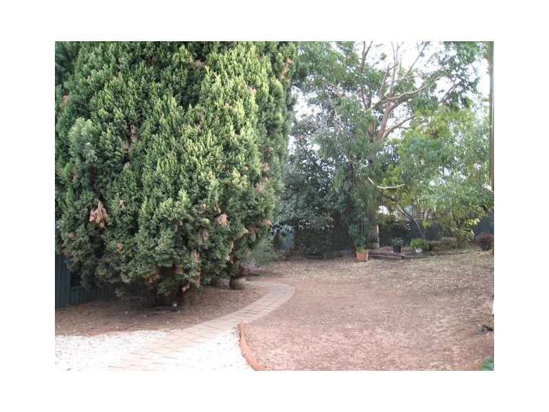 13 Tanya Street, Surrey Downs SA 5126