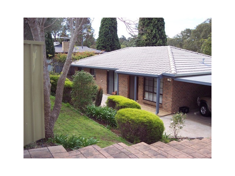 293 Hancock Road, Banksia Park SA 5091