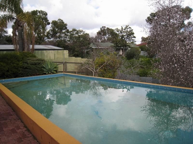 21 Windsor Avenue, Para Hills SA 5096