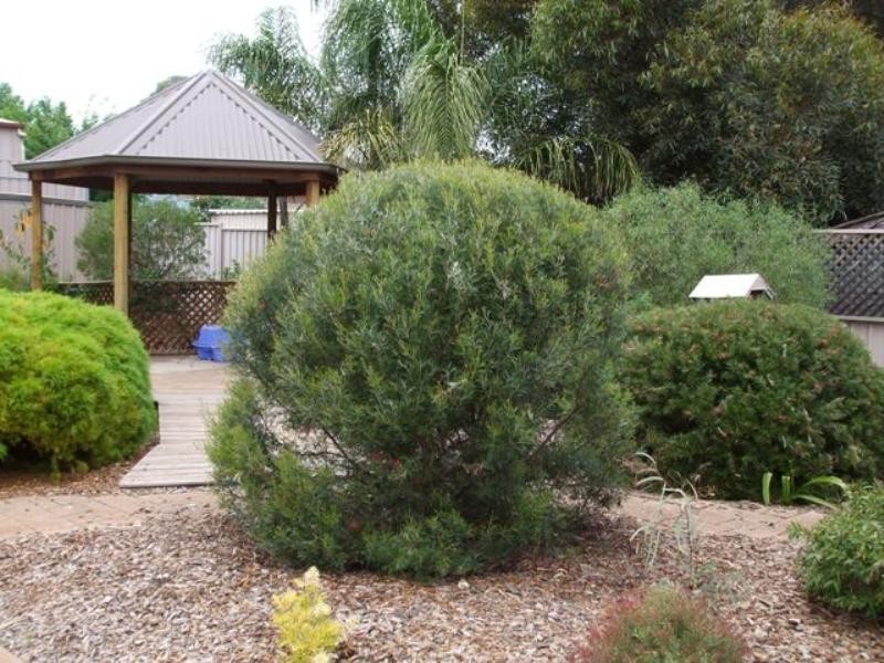 44 Pacific Circuit, Salisbury Heights SA 5109