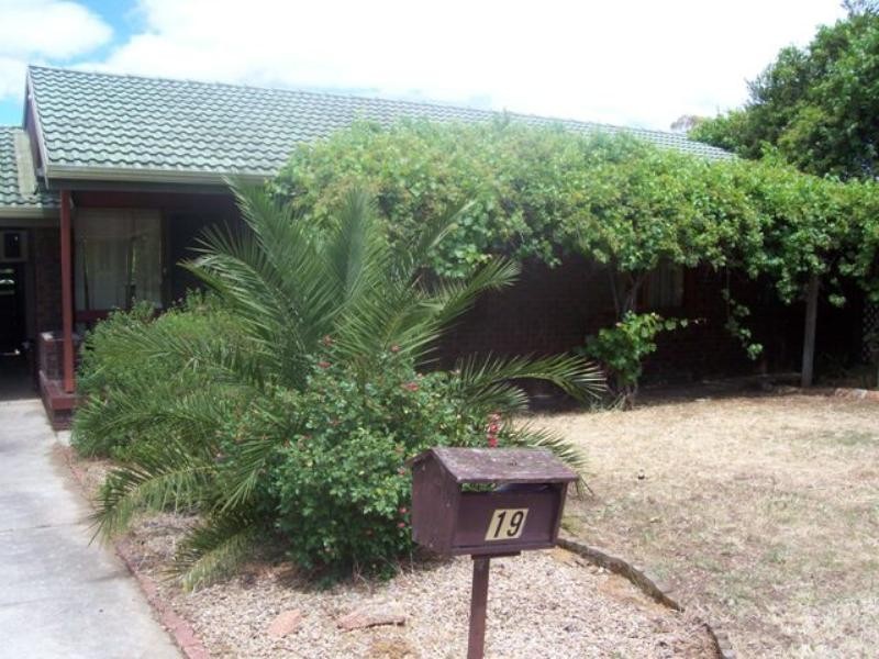 19 Vulcan Avenue, Modbury Heights SA 5092