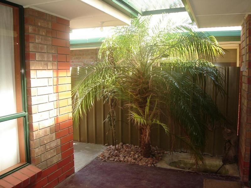 24 McIntosh Court, Wynn Vale SA 5127