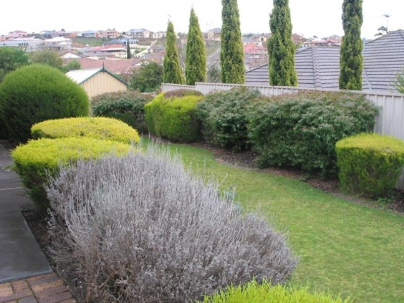 50 Petworth Parade, Greenwith SA 5125