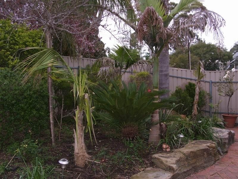 6 St Helens Street, Banksia Park SA 5091