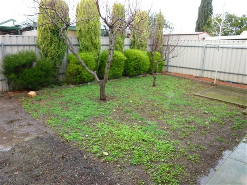 3 Tulipwood Court, Greenwith SA 5125