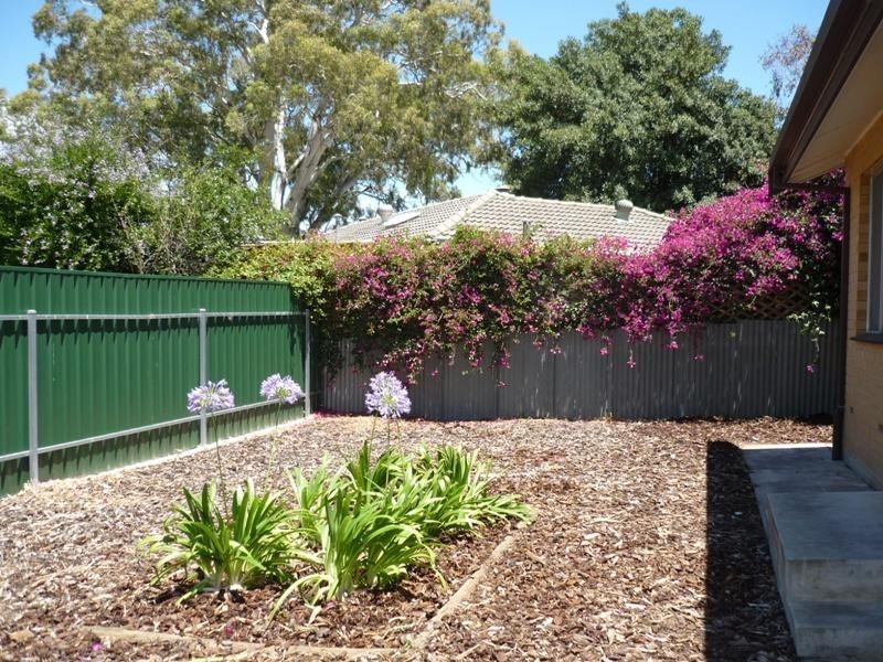 3/344 Hancock Road, Surrey Downs SA 5126