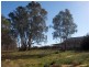 Lot 22 Carter Road (Taylorville), Waikerie SA 5330
