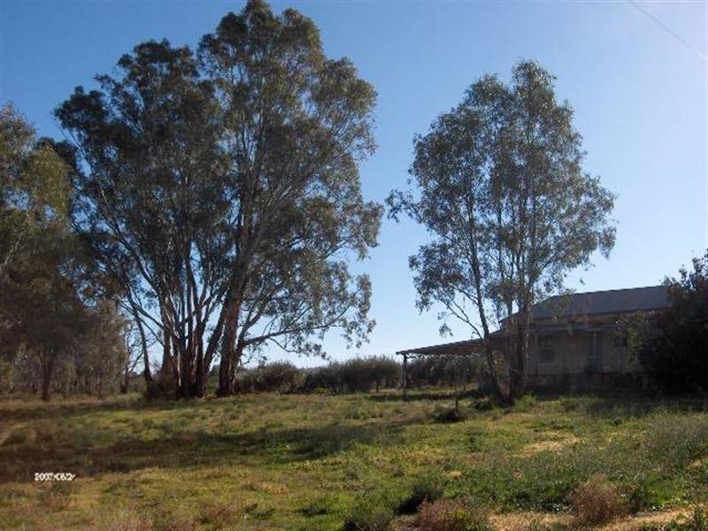 Lot 22 Carter Road (Taylorville), Waikerie SA 5330