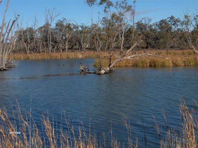 Lot 22 Carter Road (Taylorville), Waikerie SA 5330