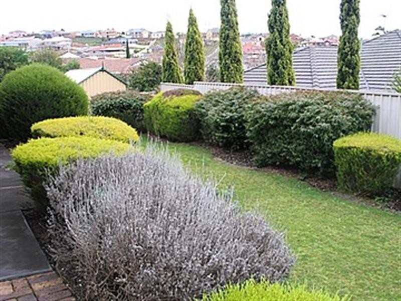 50 Petworth Parade, Greenwith SA 5125