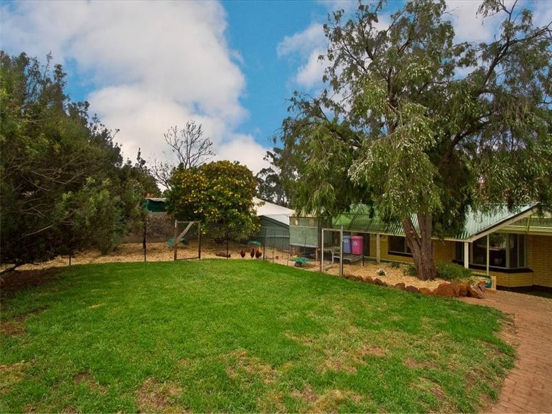 10 Chapman Avenue, Salisbury Heights SA 5109