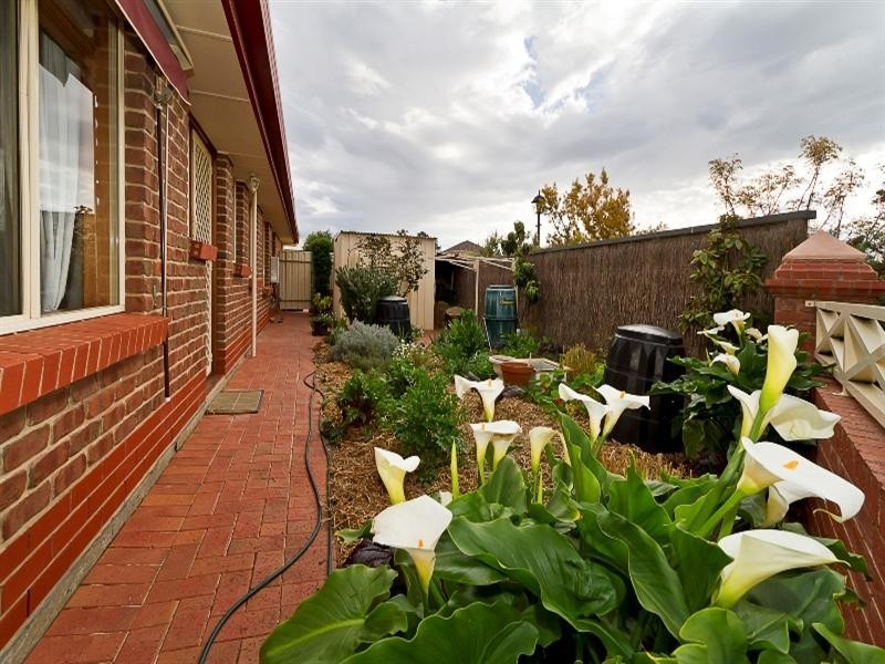 2 Pistachio Way, Golden Grove SA 5125