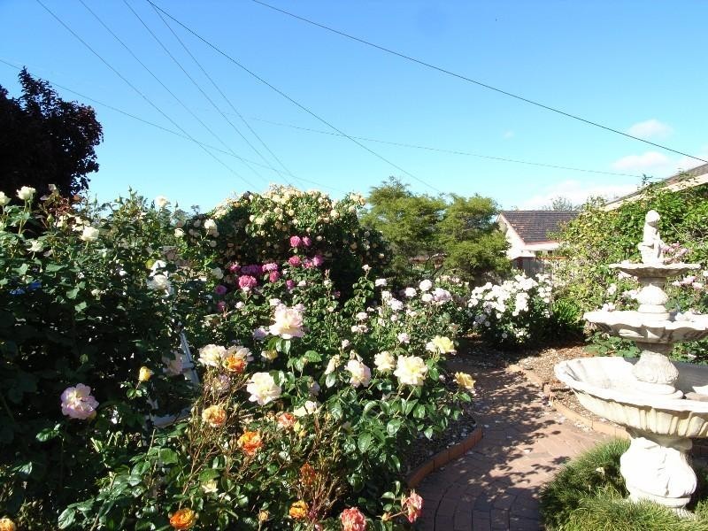 8 Carr Street, Shepparton VIC 3630