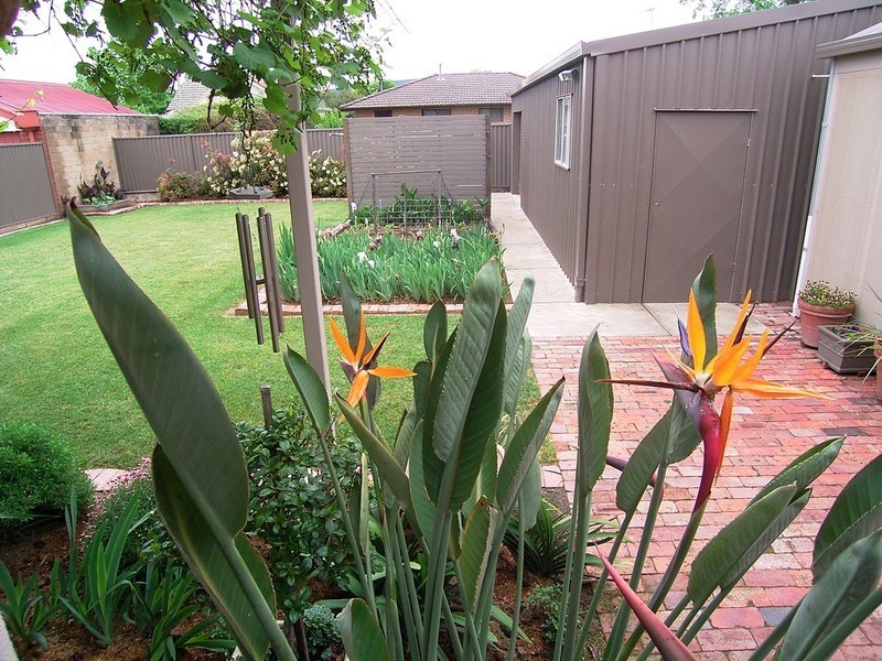 51 Skene Street, Shepparton VIC 3630