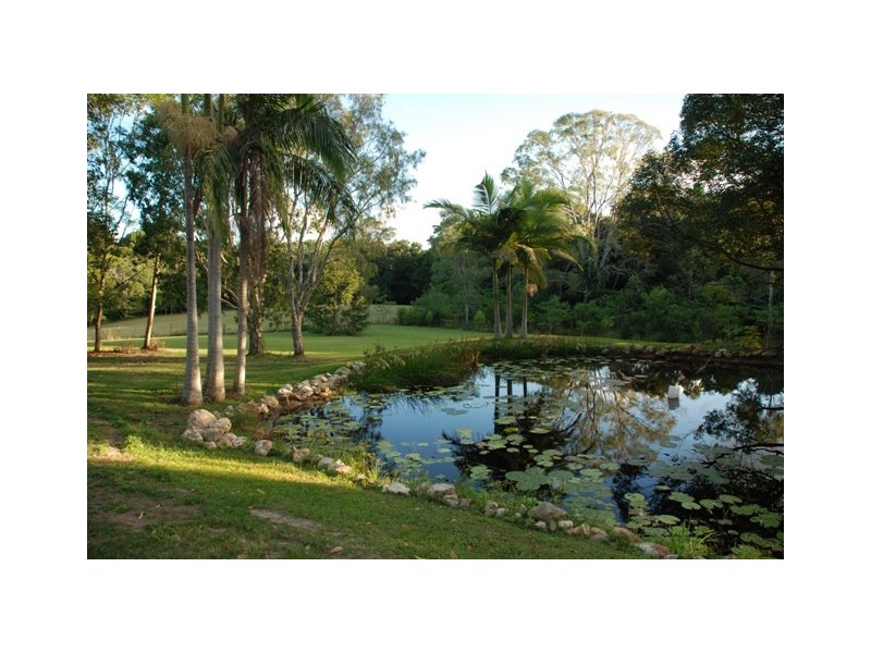 Eumundi QLD 4562