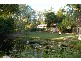 Eumundi QLD 4562