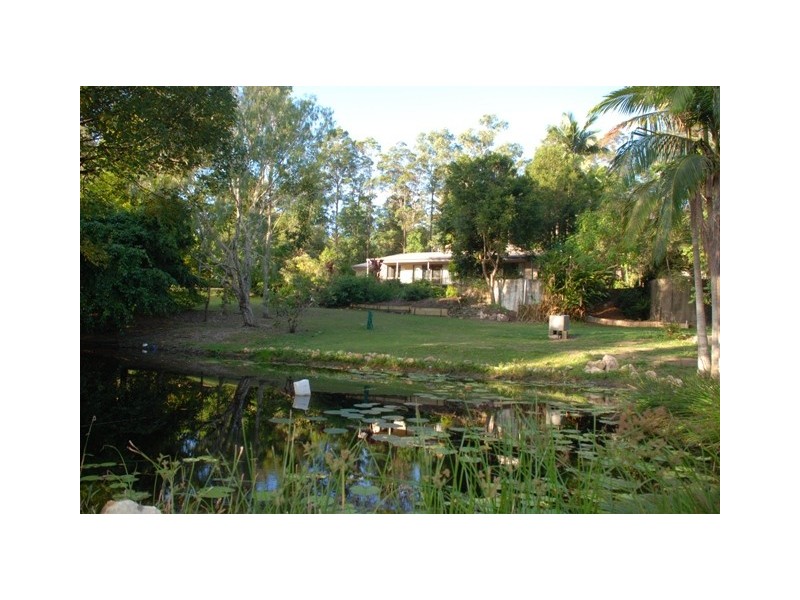 Eumundi QLD 4562
