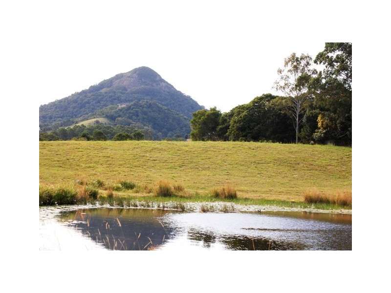 Eumundi QLD 4562