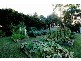 Eumundi QLD 4562