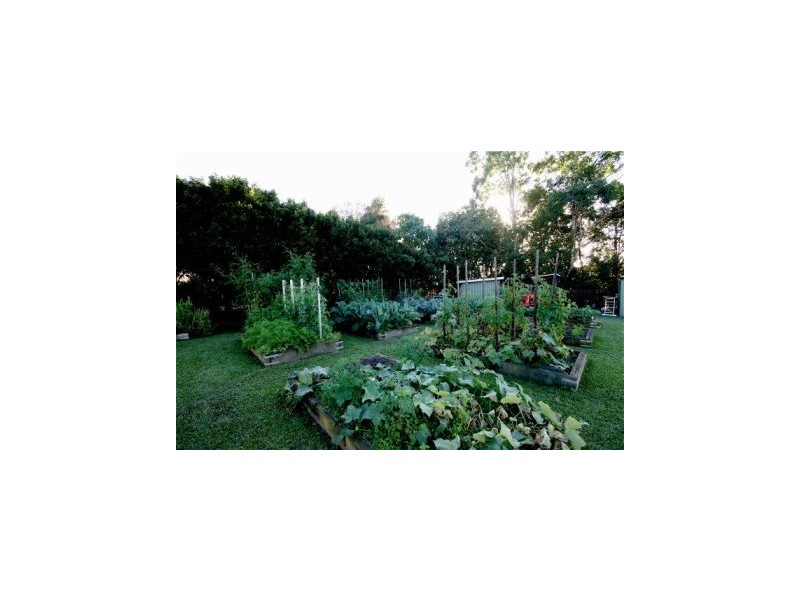 Eumundi QLD 4562
