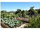 Cooroy QLD 4563