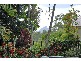 Cooroy QLD 4563