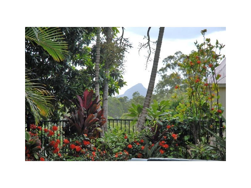 Cooroy QLD 4563