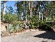 Cooroy QLD 4563