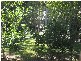 Cooroy QLD 4563