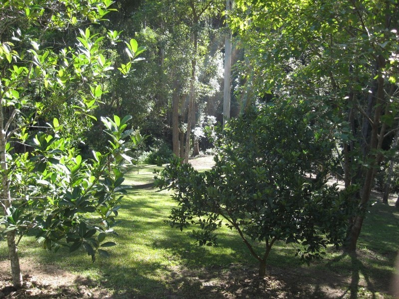 Cooroy QLD 4563