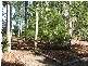 Cooroy QLD 4563
