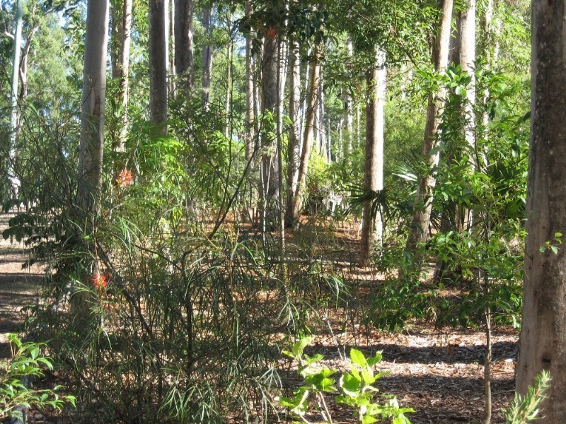 Cooroy QLD 4563