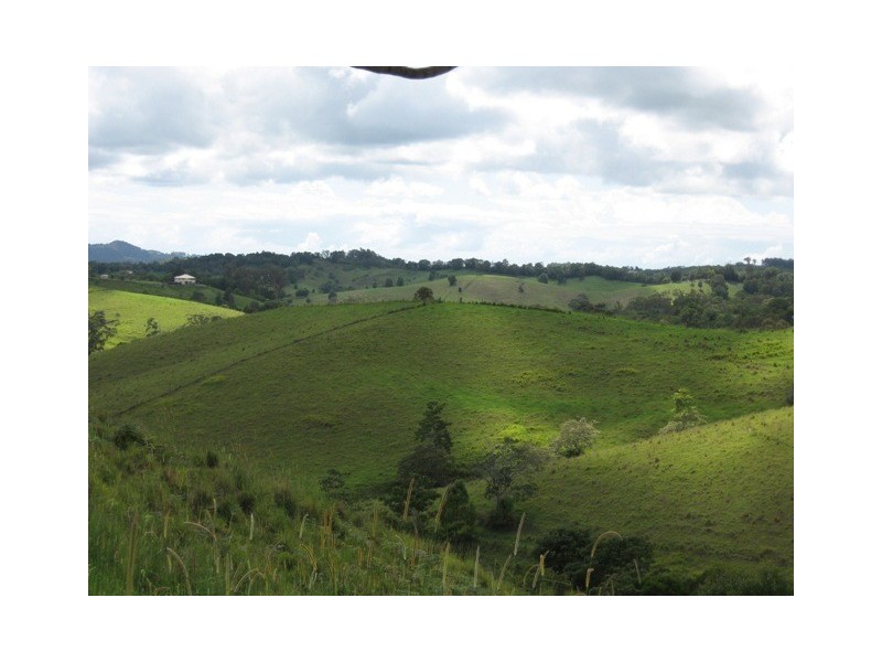 Cooroy QLD 4563