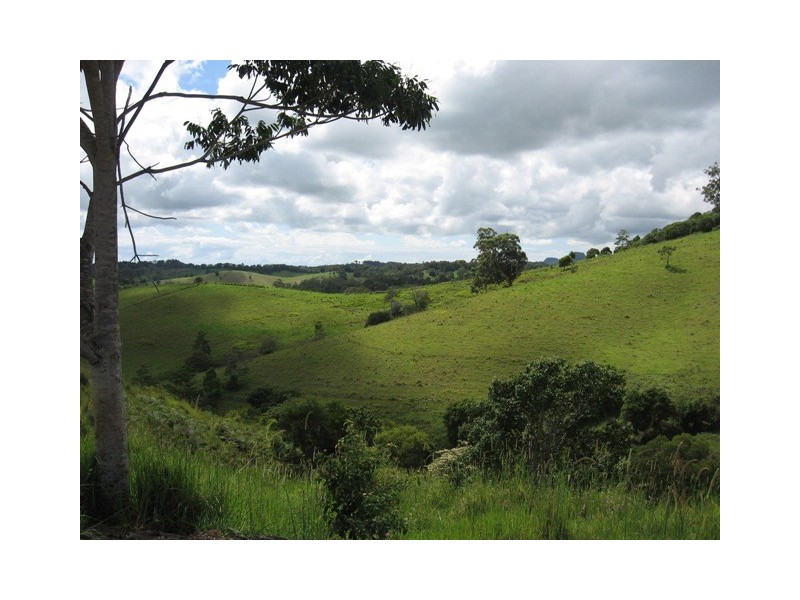Cooroy QLD 4563