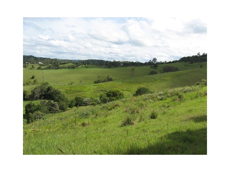 Cooroy QLD 4563