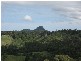 Cooroy QLD 4563