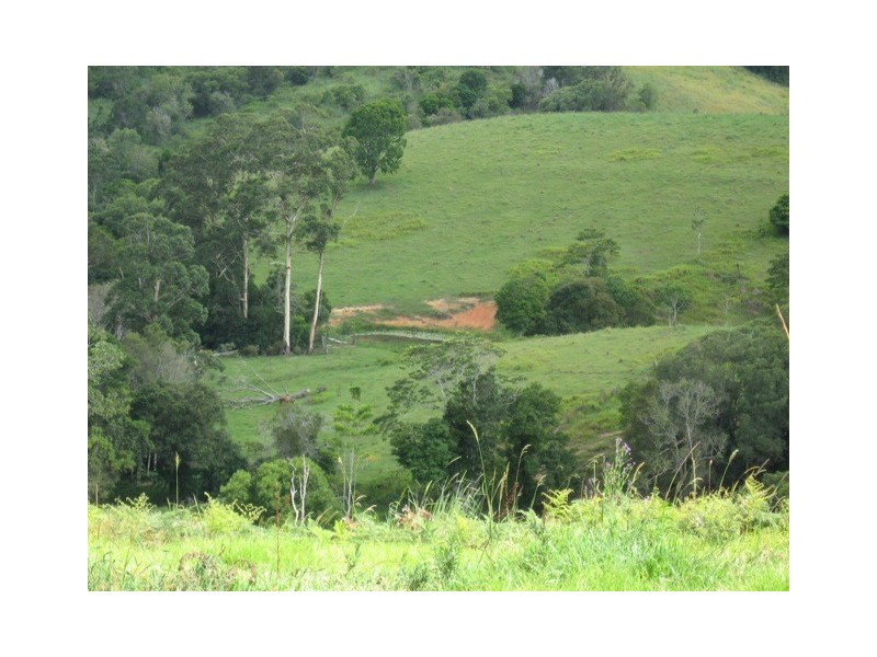 Cooroy QLD 4563
