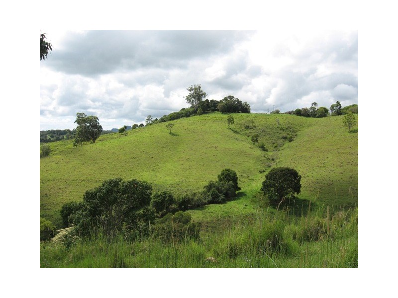 Cooroy QLD 4563