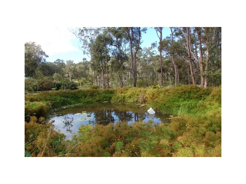 Doonan QLD 4562