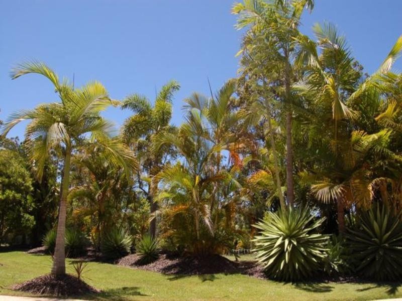 Doonan QLD 4562