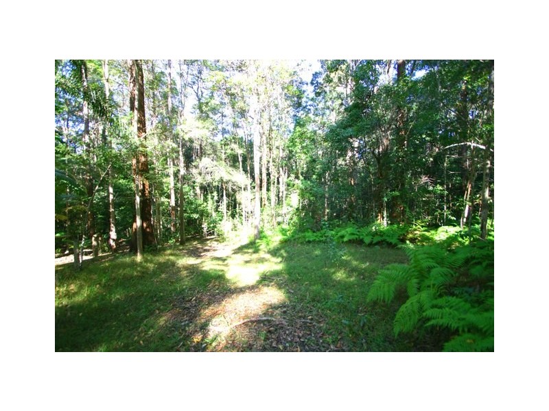 Doonan QLD 4562