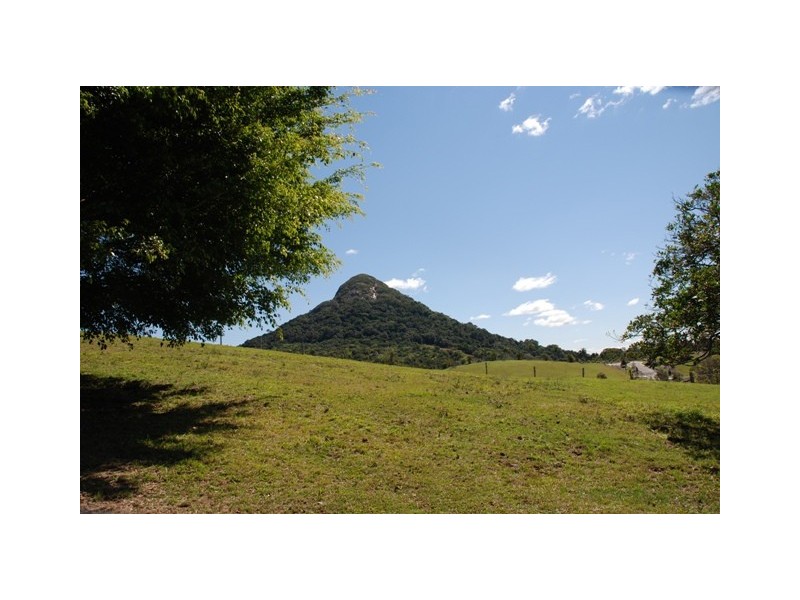 Eumundi QLD 4562