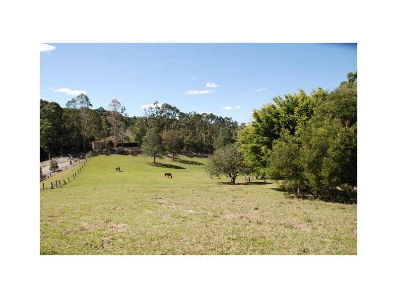 Eumundi QLD 4562