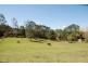 Eumundi QLD 4562