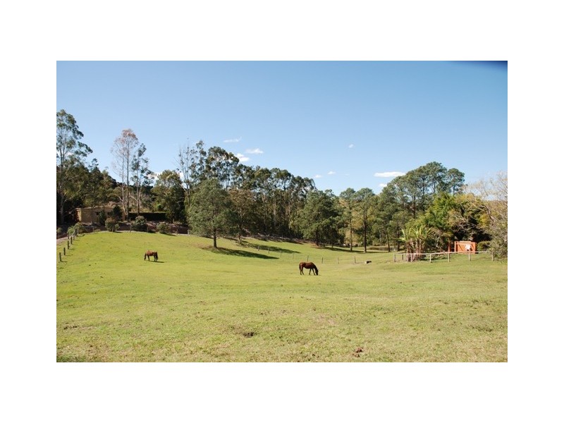Eumundi QLD 4562